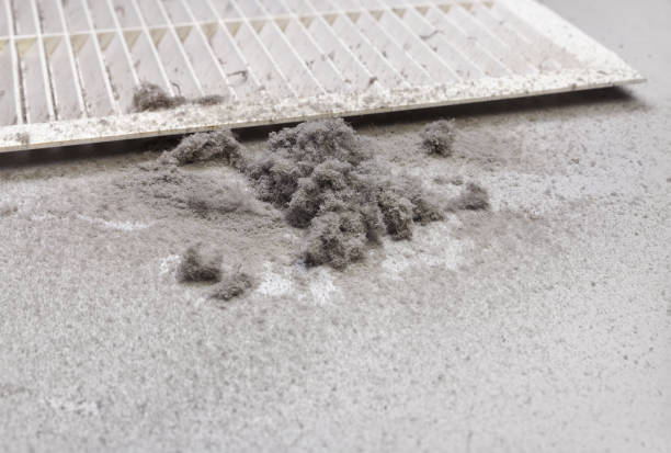 Best Dryer Vent Cleaning Services  in Taft, FL